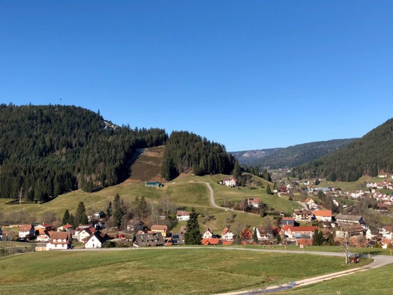 Ferienwohnung Baiersbronn Mitteltal Apartment Marie Ausblick